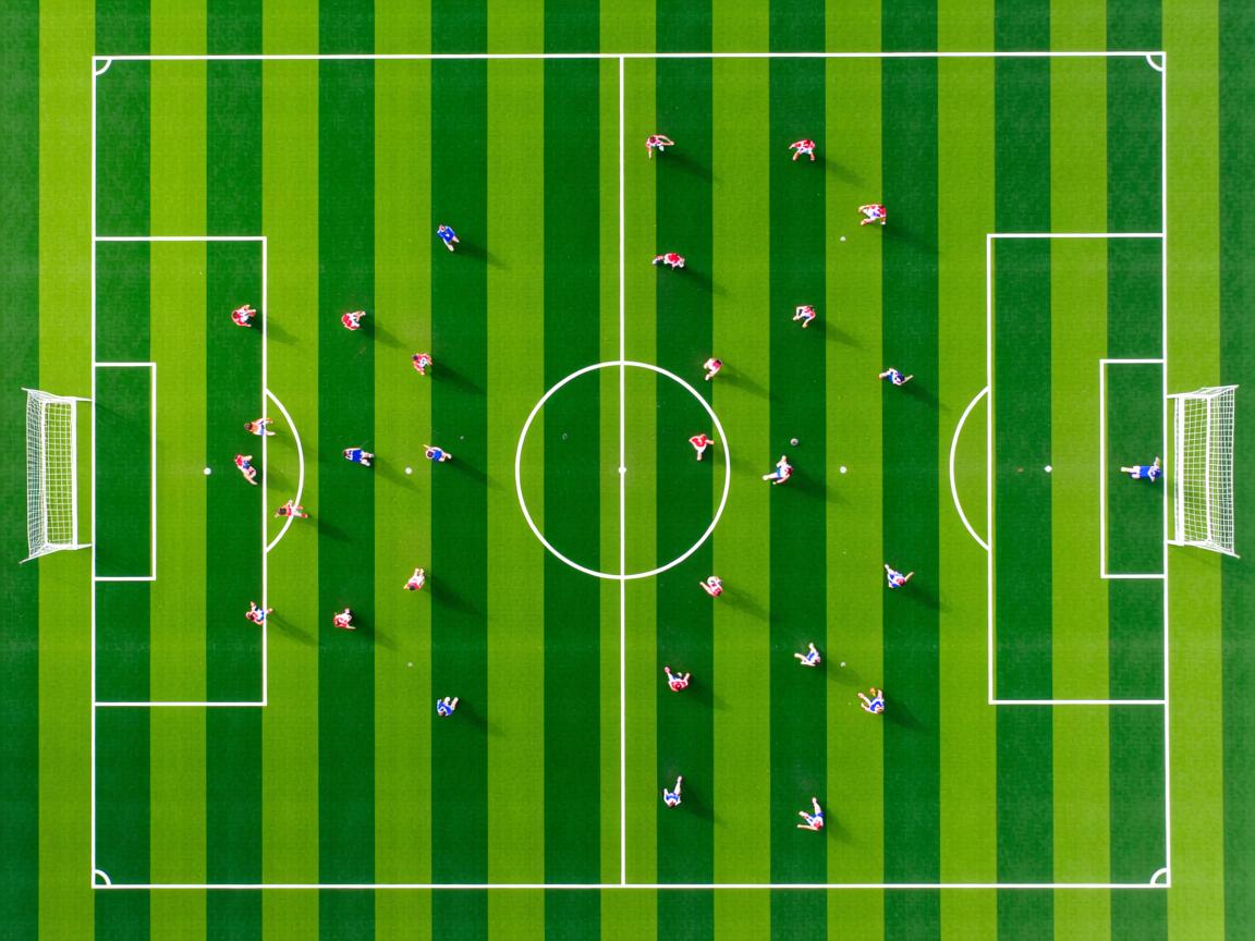 开yun官网-体育明星短剧上线引发全民健身热潮,体育明星的视频 第3张